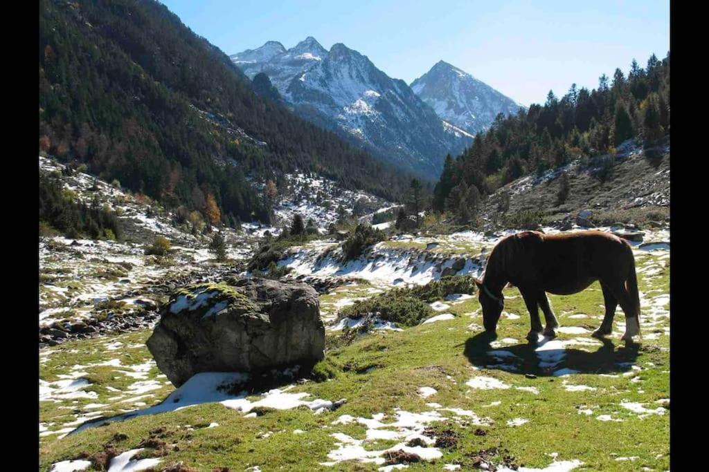 Chaleureux Studio Familal "Lougrand Iii" Cauterets Exterior foto